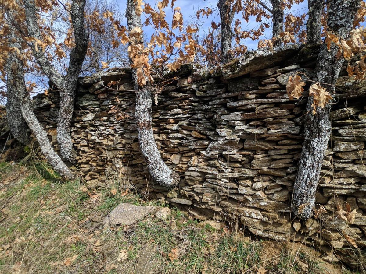 Casa Rural Fuente Del Arca Montejo Montejo de la Sierra Exteriér fotografie